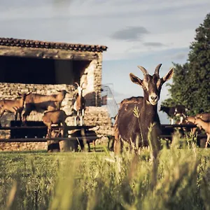  Guest house Le Domaine Du Castellas France