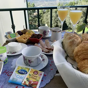 Bed & Breakfast Charming Cozy Retreat - Terrace & Private Balcony Coimbra